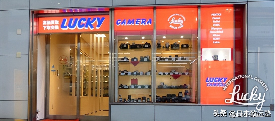 artfestival有什么活动,artfestival在哪一天