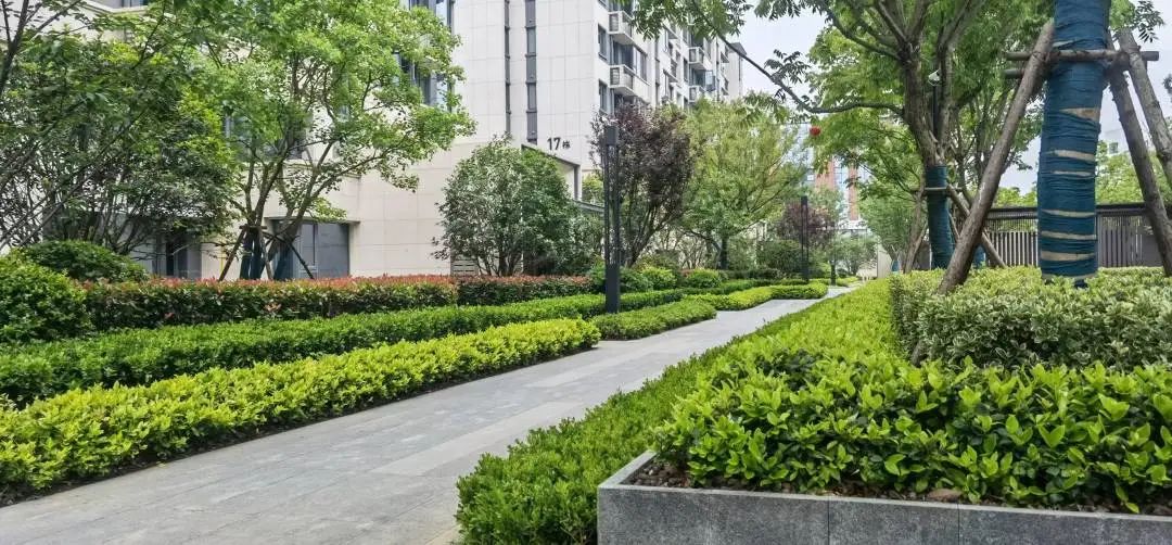 实探湖景新板块,实探新楼盘提前剧透