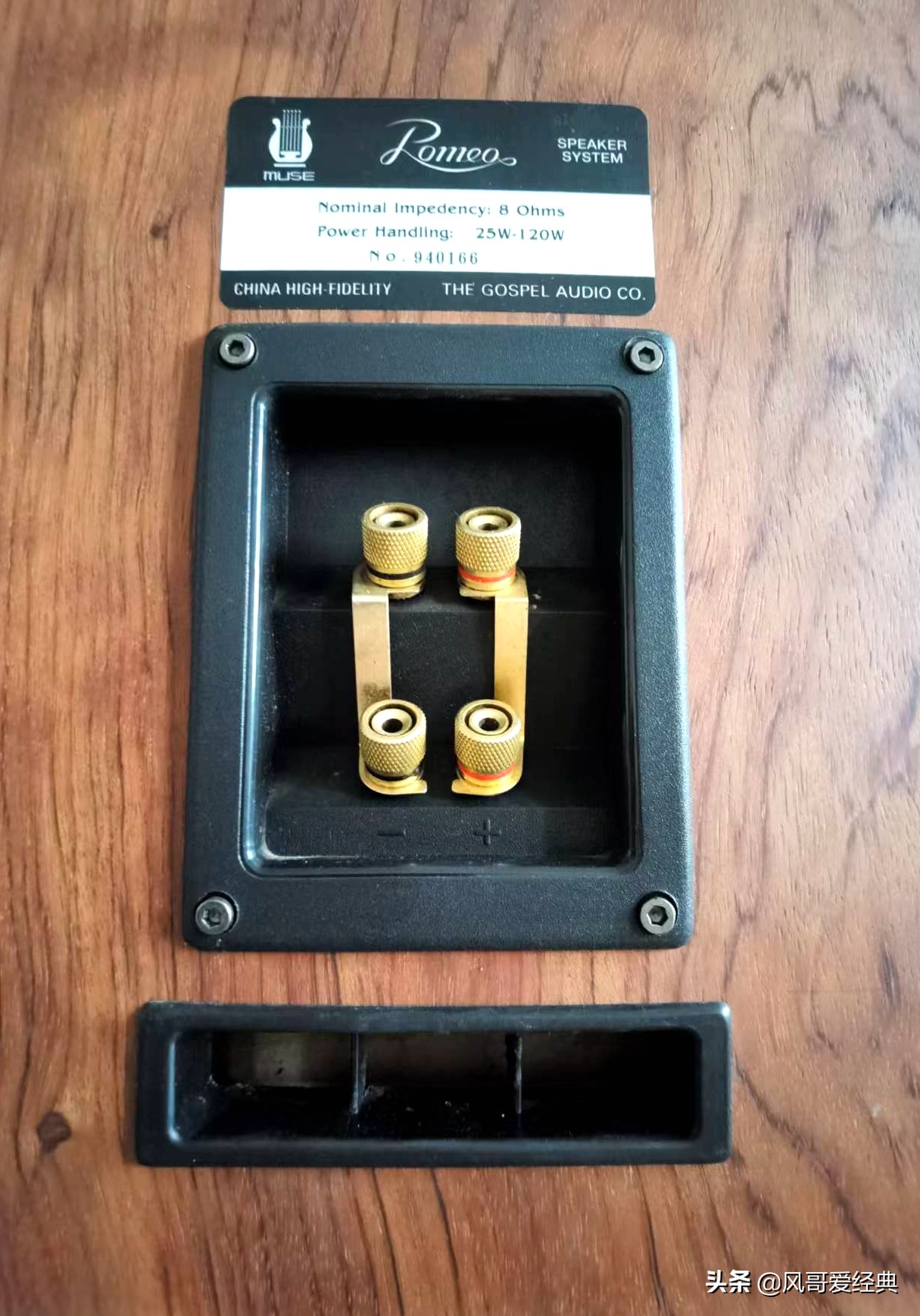 缪斯音箱大全图,缪斯音箱哪款型号好