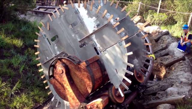 世界上最壮的牛照片,世界最壮的牛图片