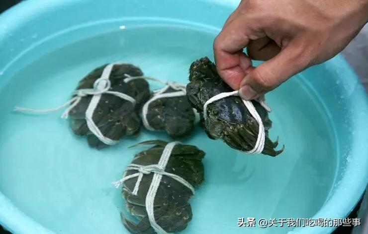 保存螃蟹怎么蒸熟冻好,活螃蟹直接放冰箱冷冻后还能吃吗