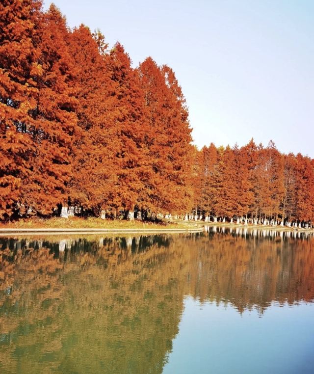 苏州秋季旅游最值得去的地方,苏州赏秋一日游攻略