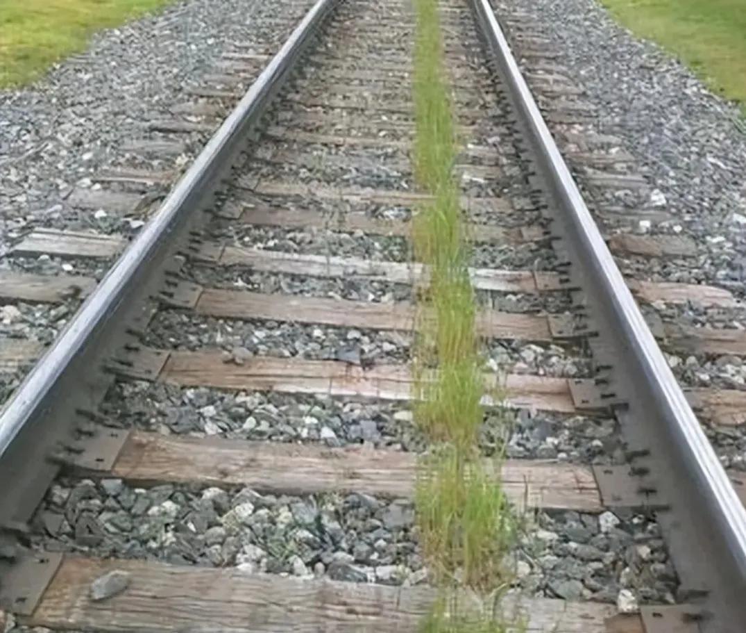 火车厕所里的粪便最后去了哪里,火车上面的粪便都跑哪里去了