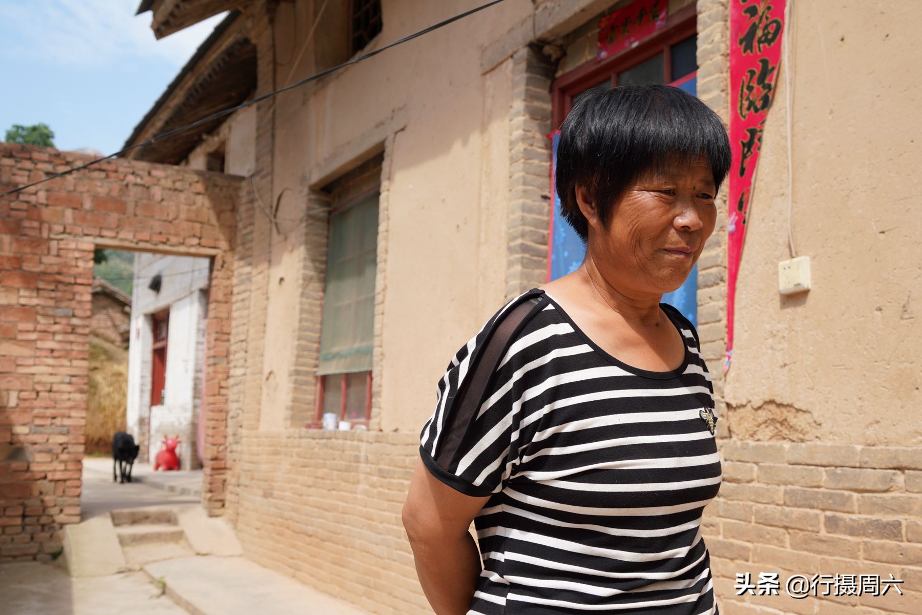 农村大姐养宠物犬,农村大姐养土狗视频