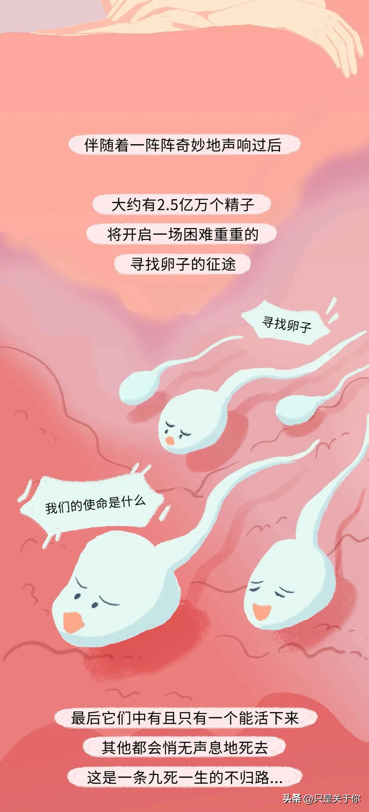漫画：精子进入女生体内的全过程