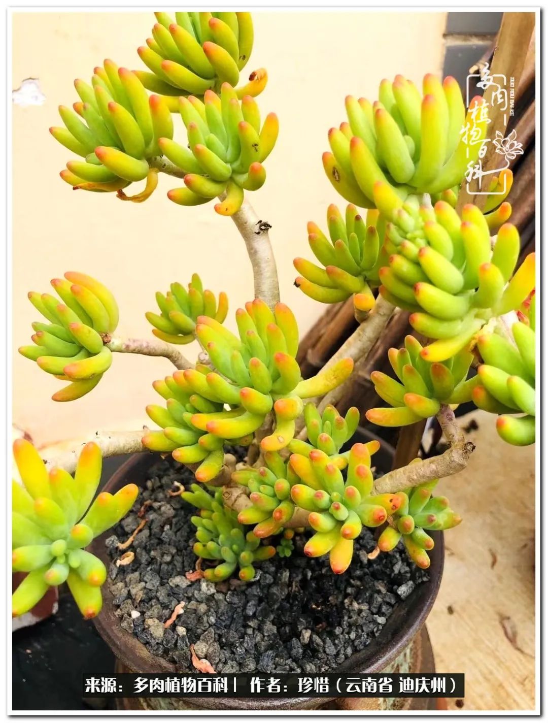 给生命一份淡然还岁月一份从容,给生命留一份洒脱的话