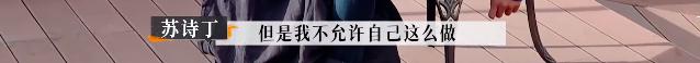 苏诗丁和卢歌再见爱人结局,再见爱人2苏诗丁和卢歌复合了吗