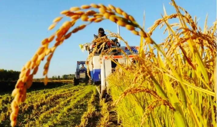 农业的未来盈利模式,农业的未来一定是技术为王