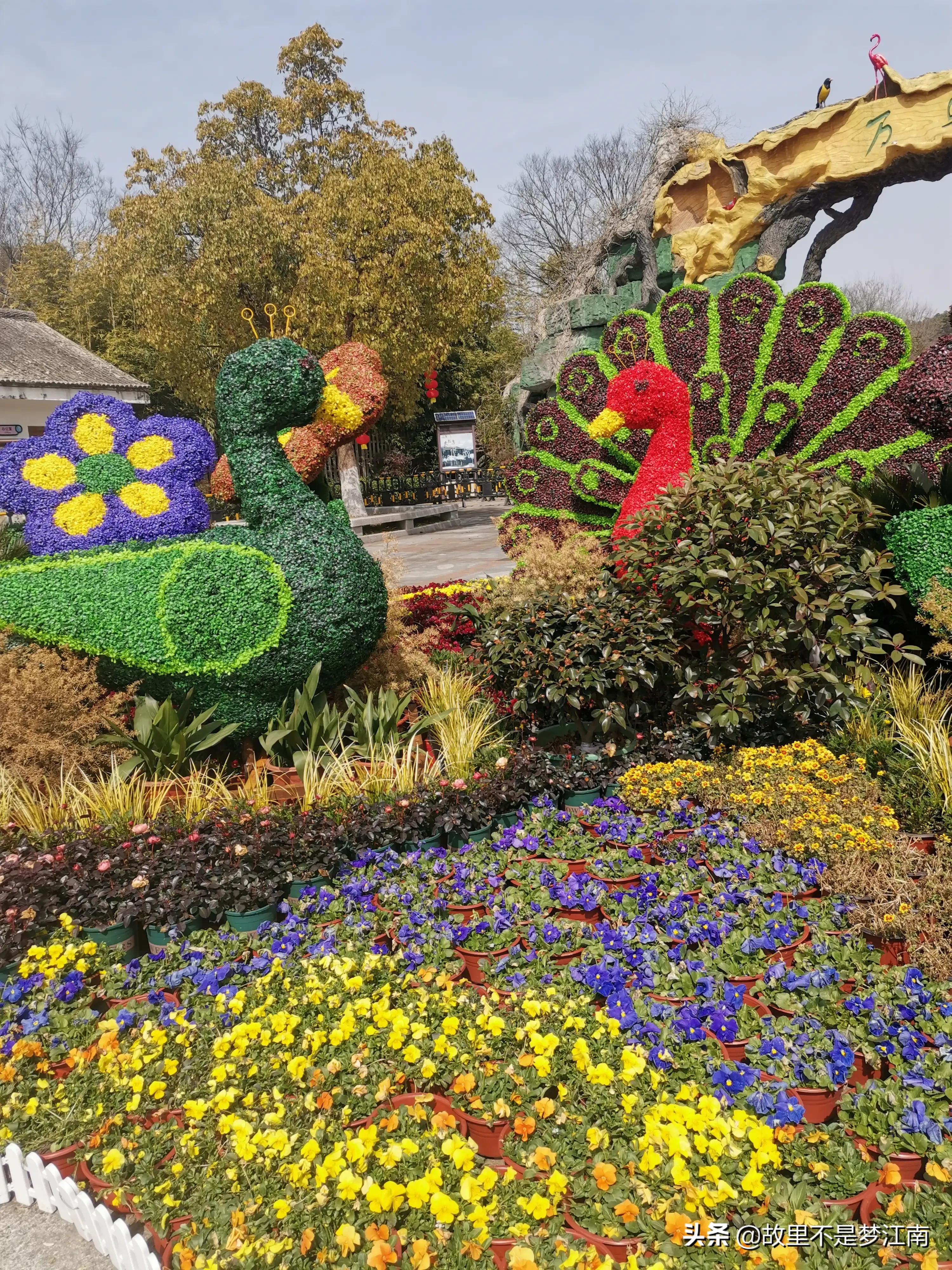 百鸟园儿童乐园,百鸟公园儿童乐园