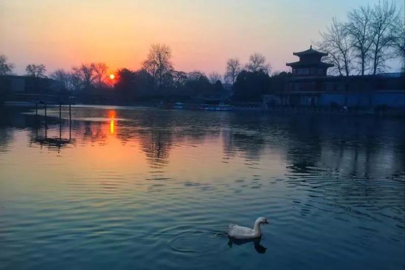 诗经中抒发相思之情的诗,诗经中有关相思的诗句