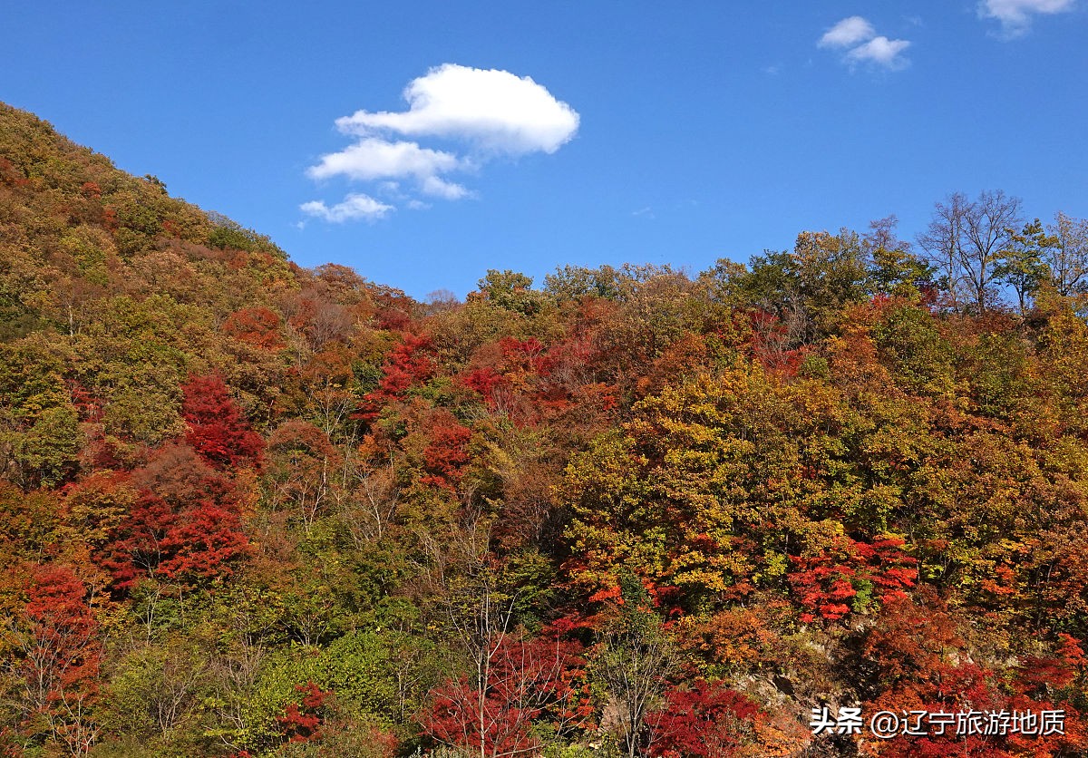本溪这个村庄被上帝赐给了画家，藏着绝美景色，过去却是个土匪窝