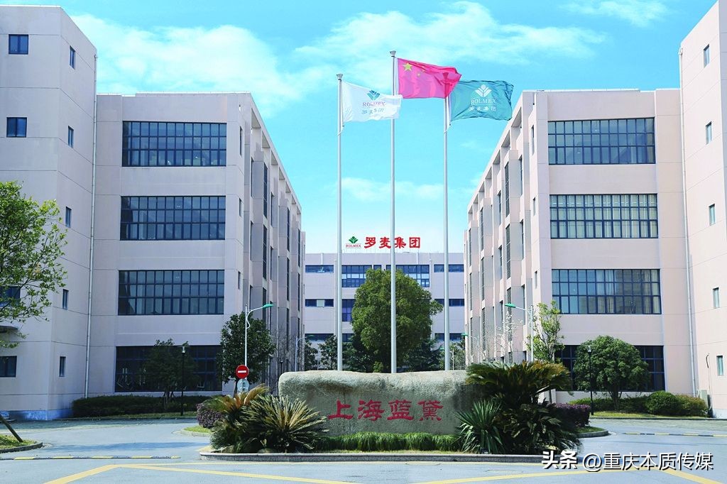 罗麦科技十周年纪念,罗麦科技走向世界