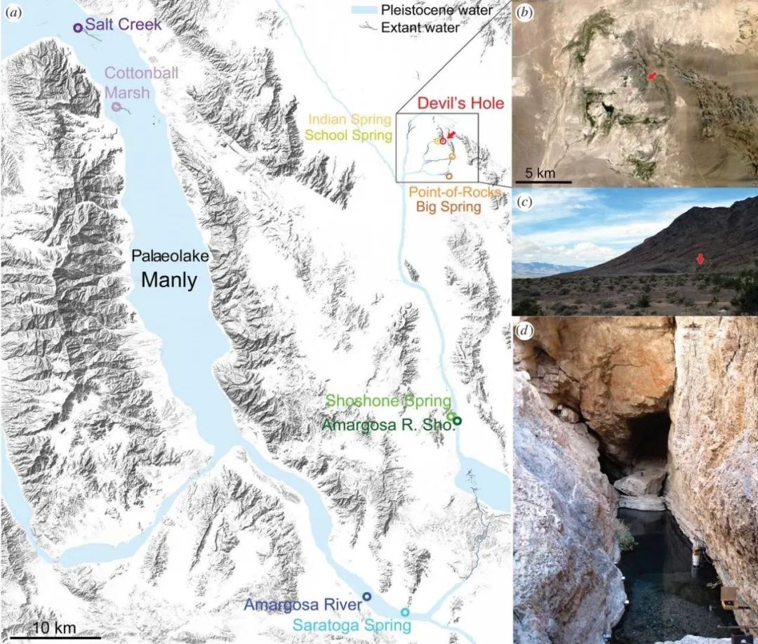 逆天改命绝地求生,逆天改命从小蝌蚪做起