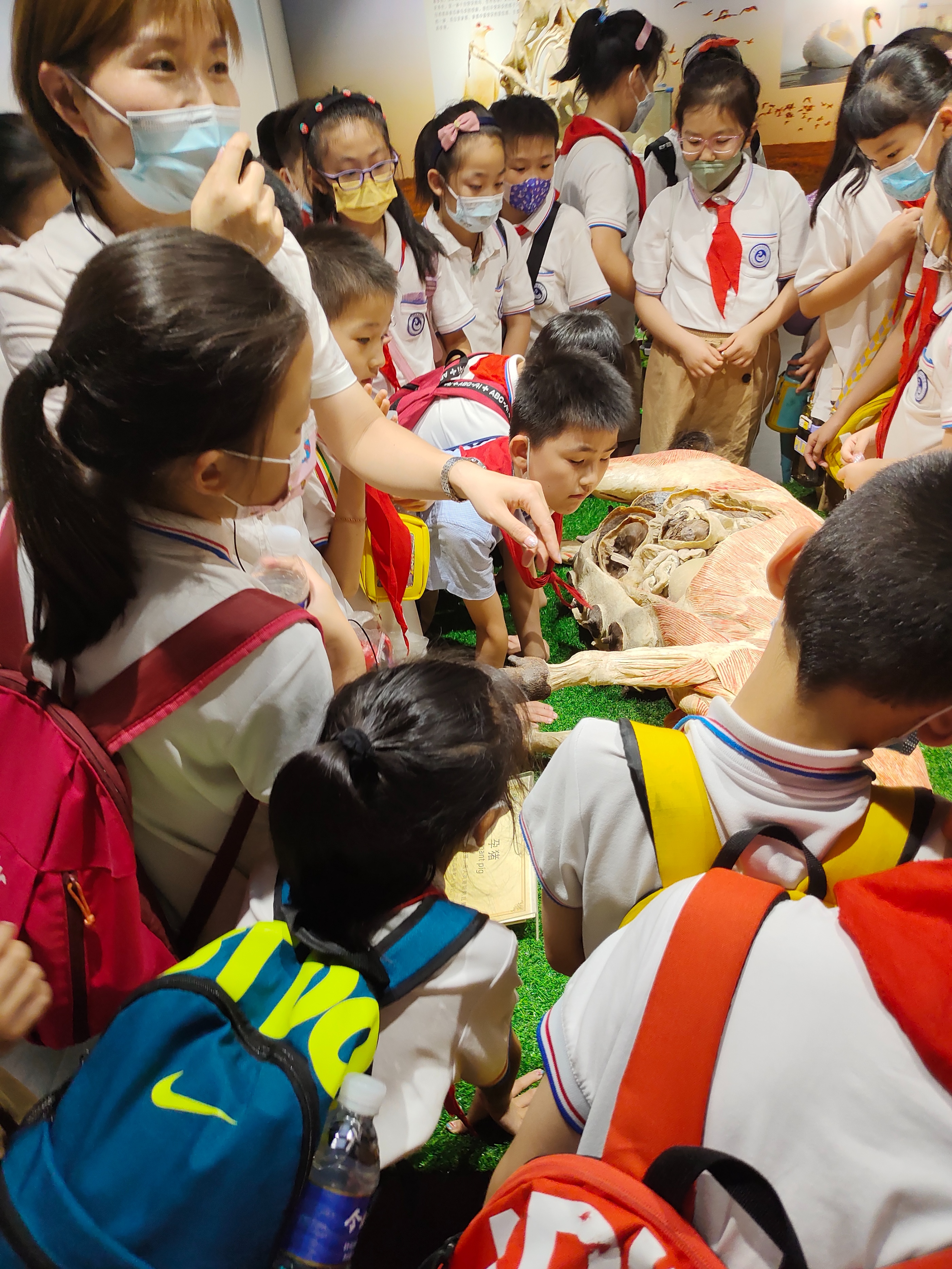 郑州周末带孩子去哪里玩比较好,郑州周末自驾游最佳去处2021