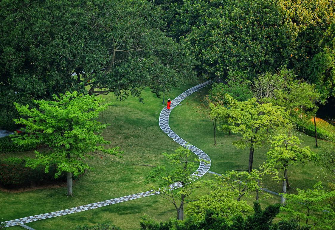 他用镜头记录旅行,他用镜头记录下了一路以来的成长