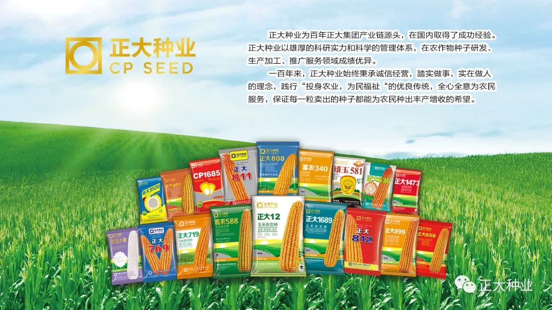 姝eぇ636鑻楁湡闀垮娍,姝eぇ636鏂板搧