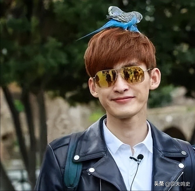 张翰综艺被批油腻后变低调遭调侃,张翰戏里发飙