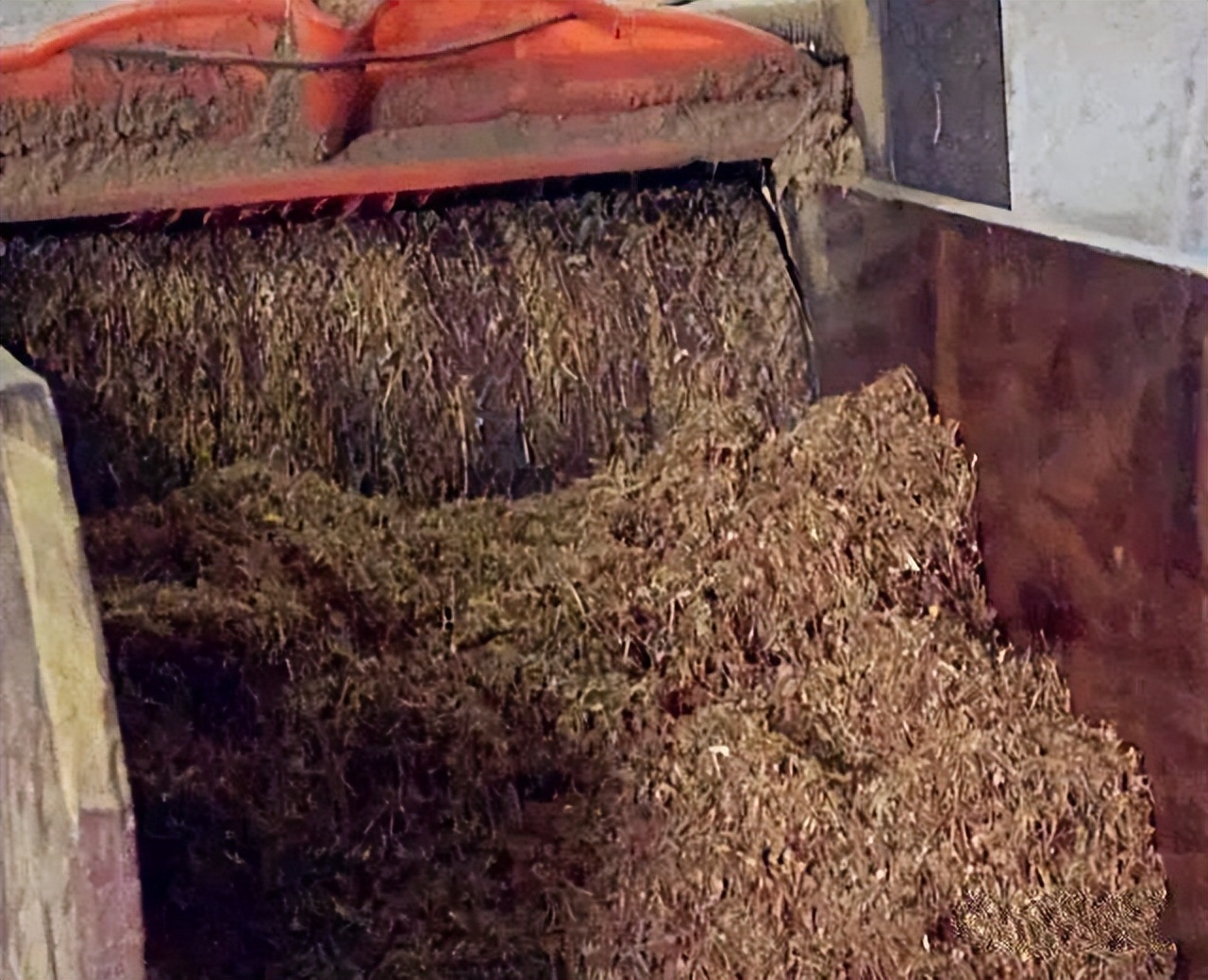 废弃的烟头是可回收垃圾吗,废旧烟头回收与利用