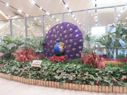 昆明长水机场飞机降落视频,昆明长水机场到昆明站怎么坐车