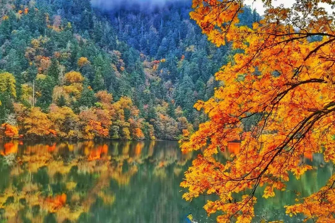 川西阿坝旅游详细攻略地图,川西阿坝旅游攻略三天