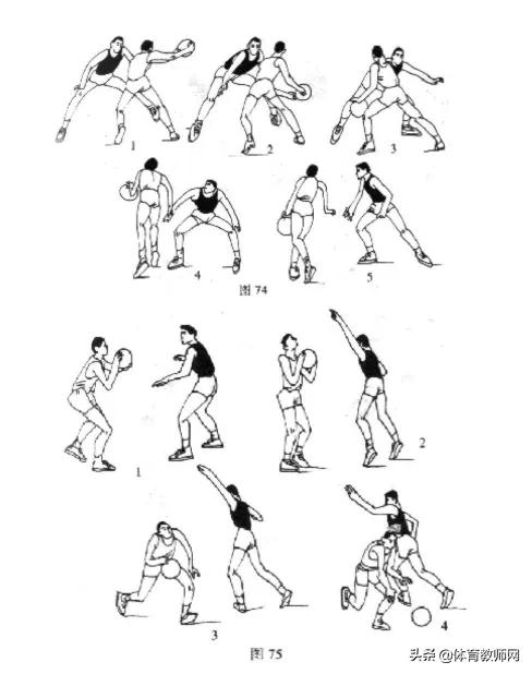 篮球教学基本训练,篮球战术教学基本知识