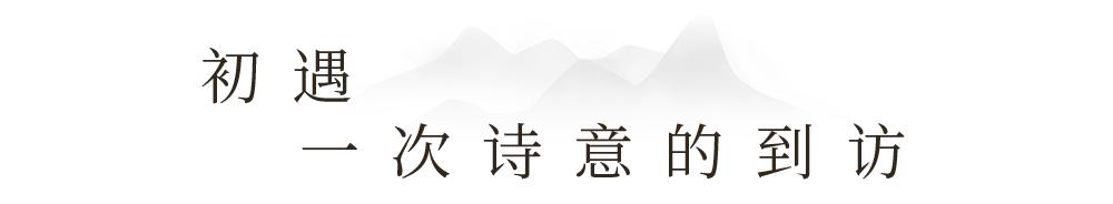 澶忔棩钘忓尶灏忚,澶忔棩钘忓尶