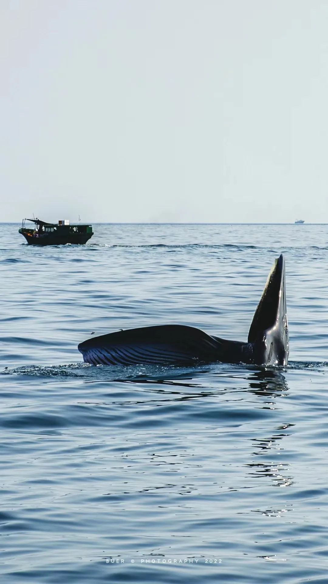 这座岛究竟有何神奇之处,怎么玩海陵岛不踩坑