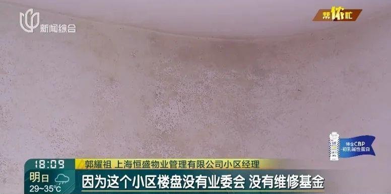 上海市地下室漏水新闻,上海楼房墙面漏水怎么办