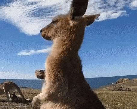 22年幽默搞笑段子笑死人不偿命,21年搞笑段子大全爆笑点击率高的