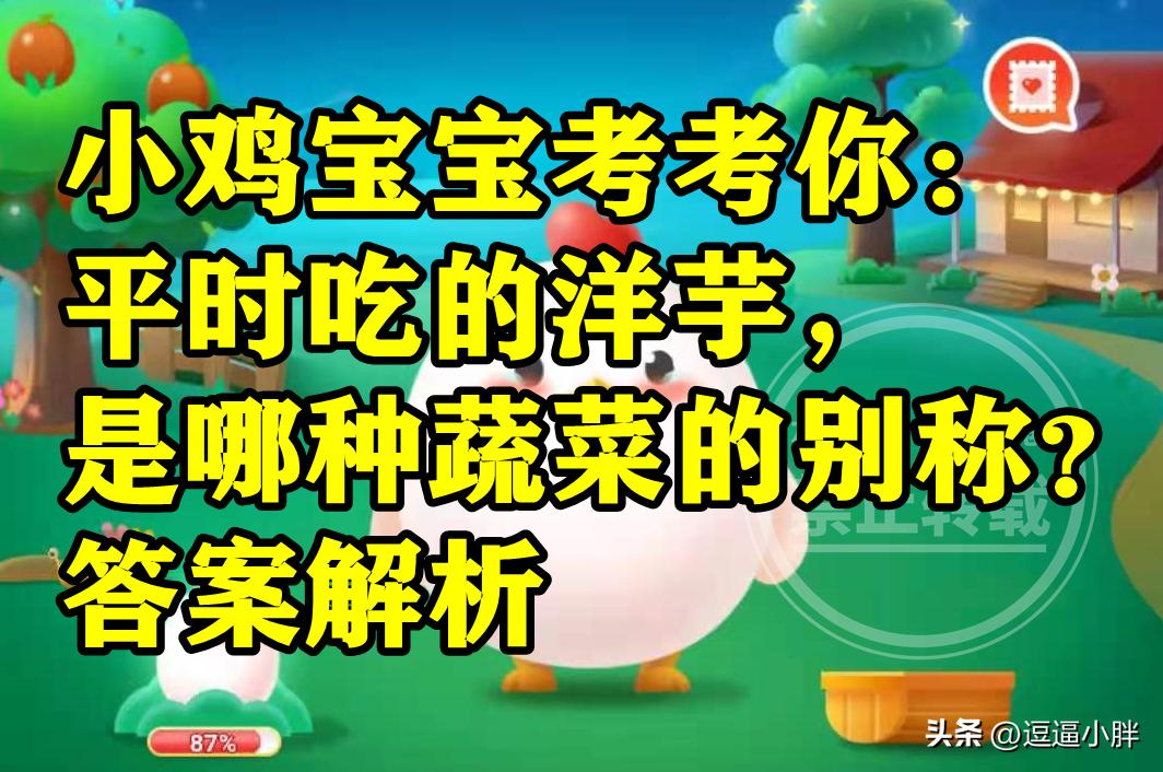 洋芋是哪种蔬菜的别称,平常吃的洋芋是土豆还是芋头