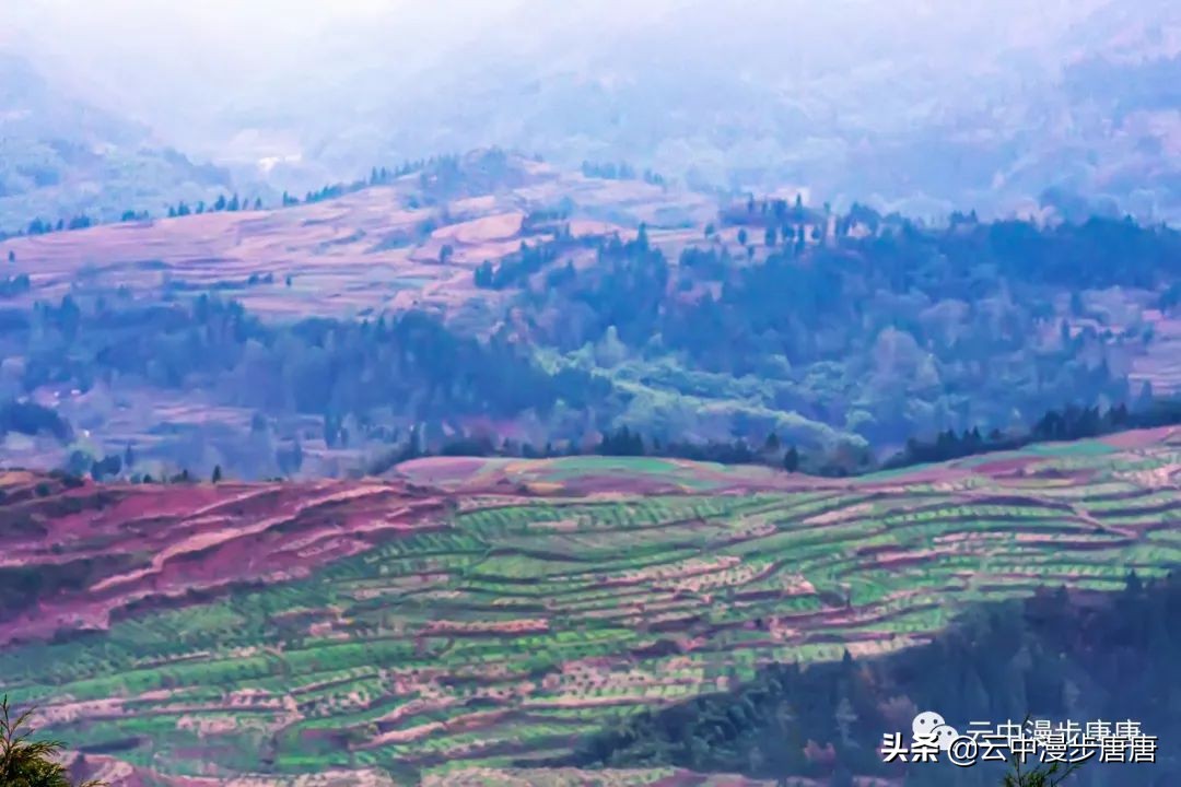 岳池旅游景点大全推荐,行走的美景