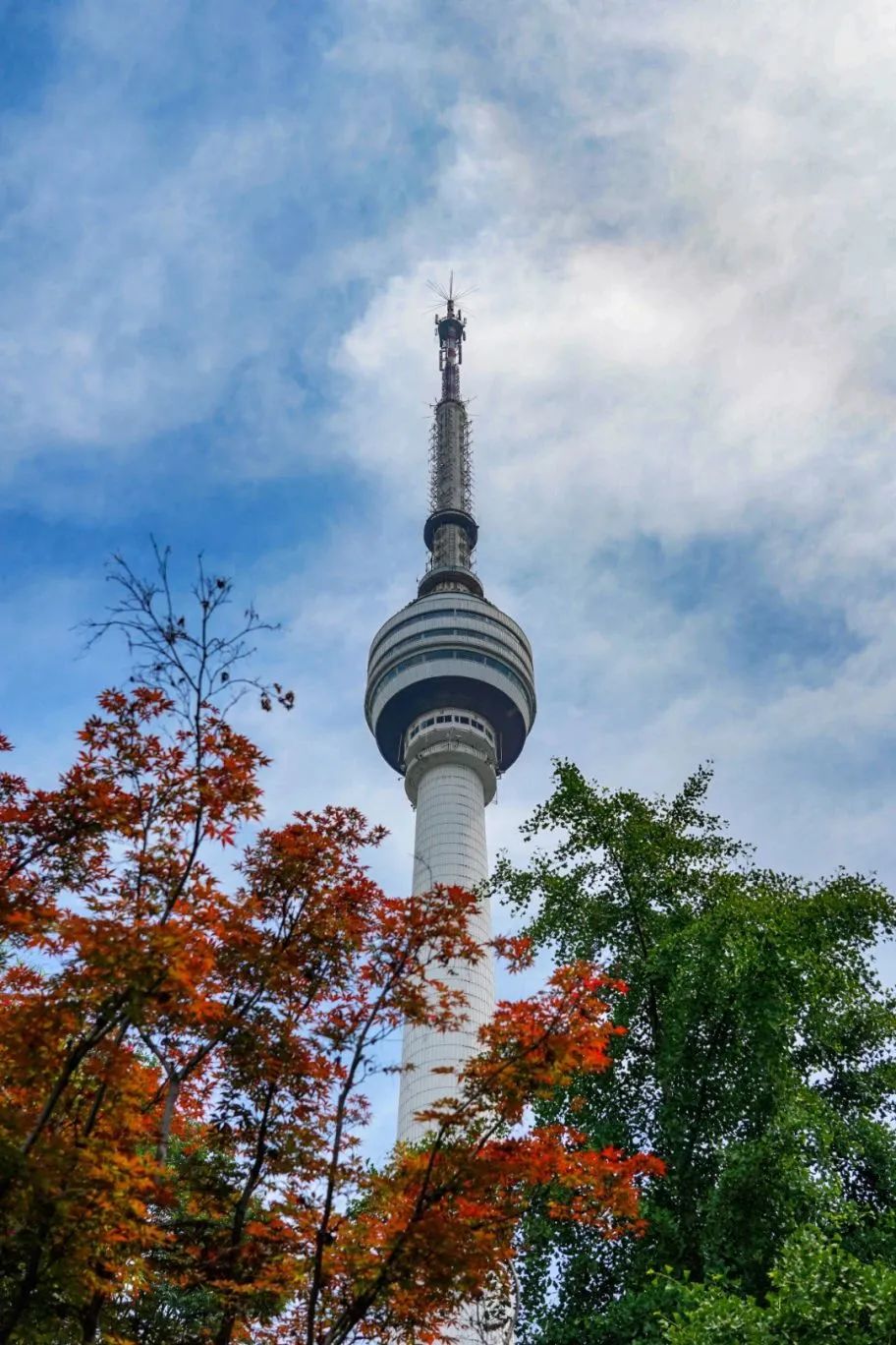 武汉排队最久的打卡地,武汉打卡推荐地