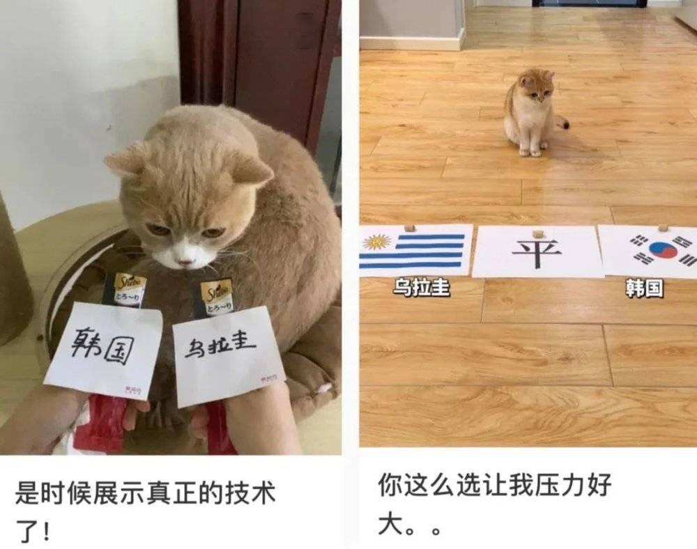 男子赌阿根廷的球输了1800万,90后干部赌球欠债2千万