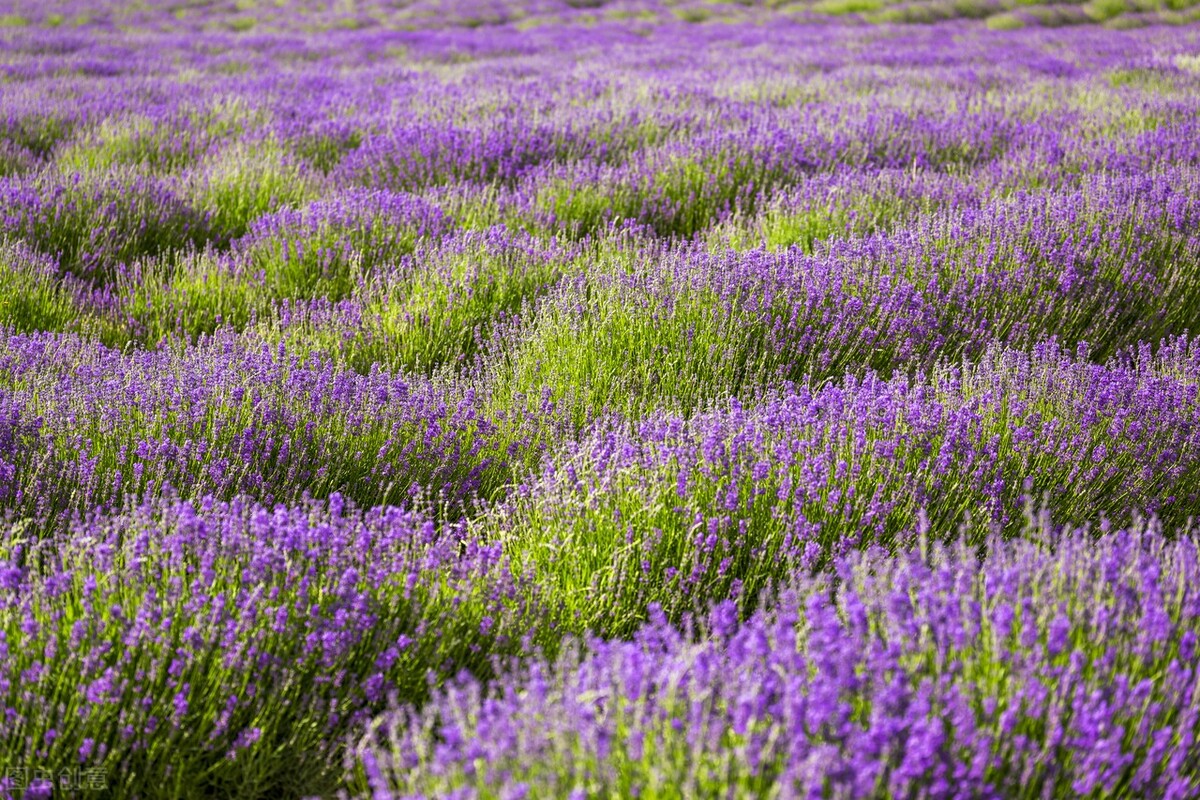 “狠”到“点子上”的女人，不吼不骂不怨赢到最后