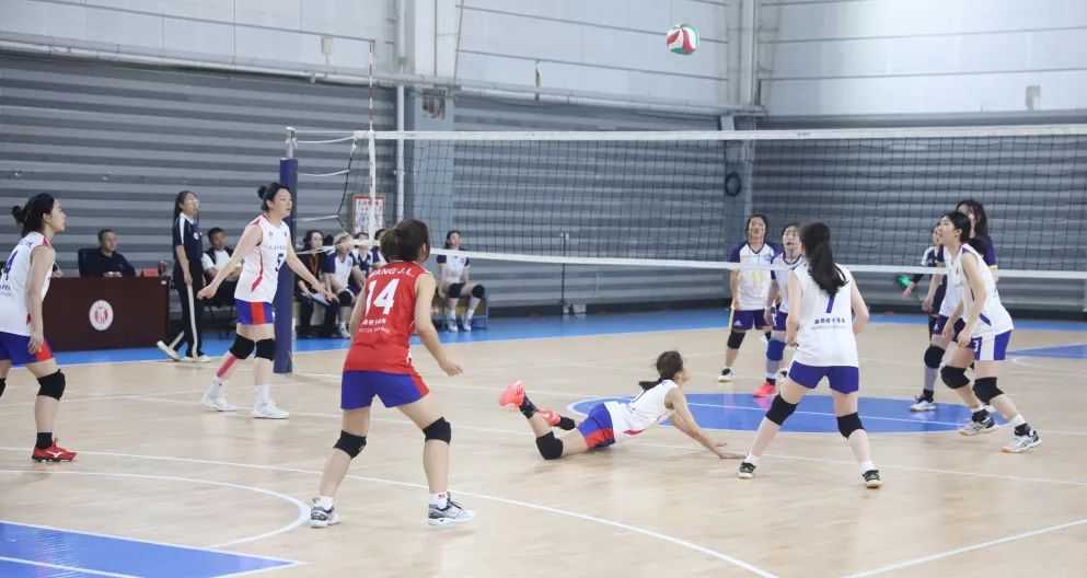 大外快讯|省赛六连冠！你可以永远相信大外女排！