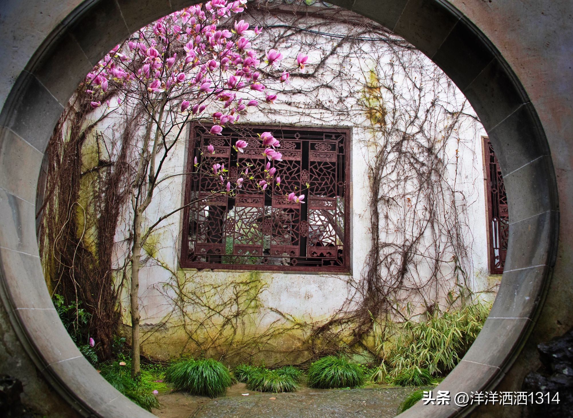 苏州古典园林艺术赏析,带你领略苏州园林之美