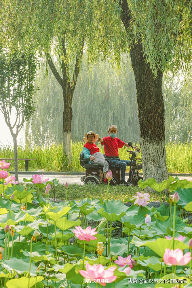 人均绿地面积第一,汉阳人人有份