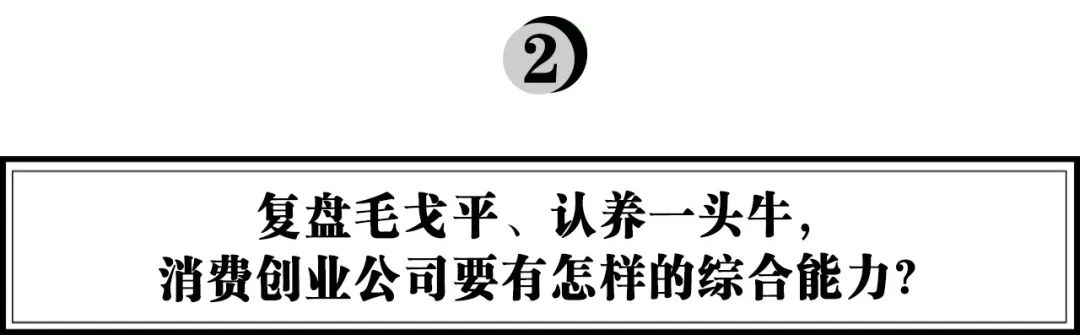 头头是道基金投资人,头头是道姚臻