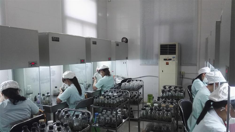 鍥藉叞绉嶈嫍,灞变笢鍥藉叞绉嶈嫍