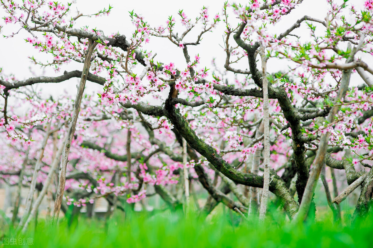 西安周边游玩的地方排行榜前十名,西安周边摩旅一日游最佳景点
