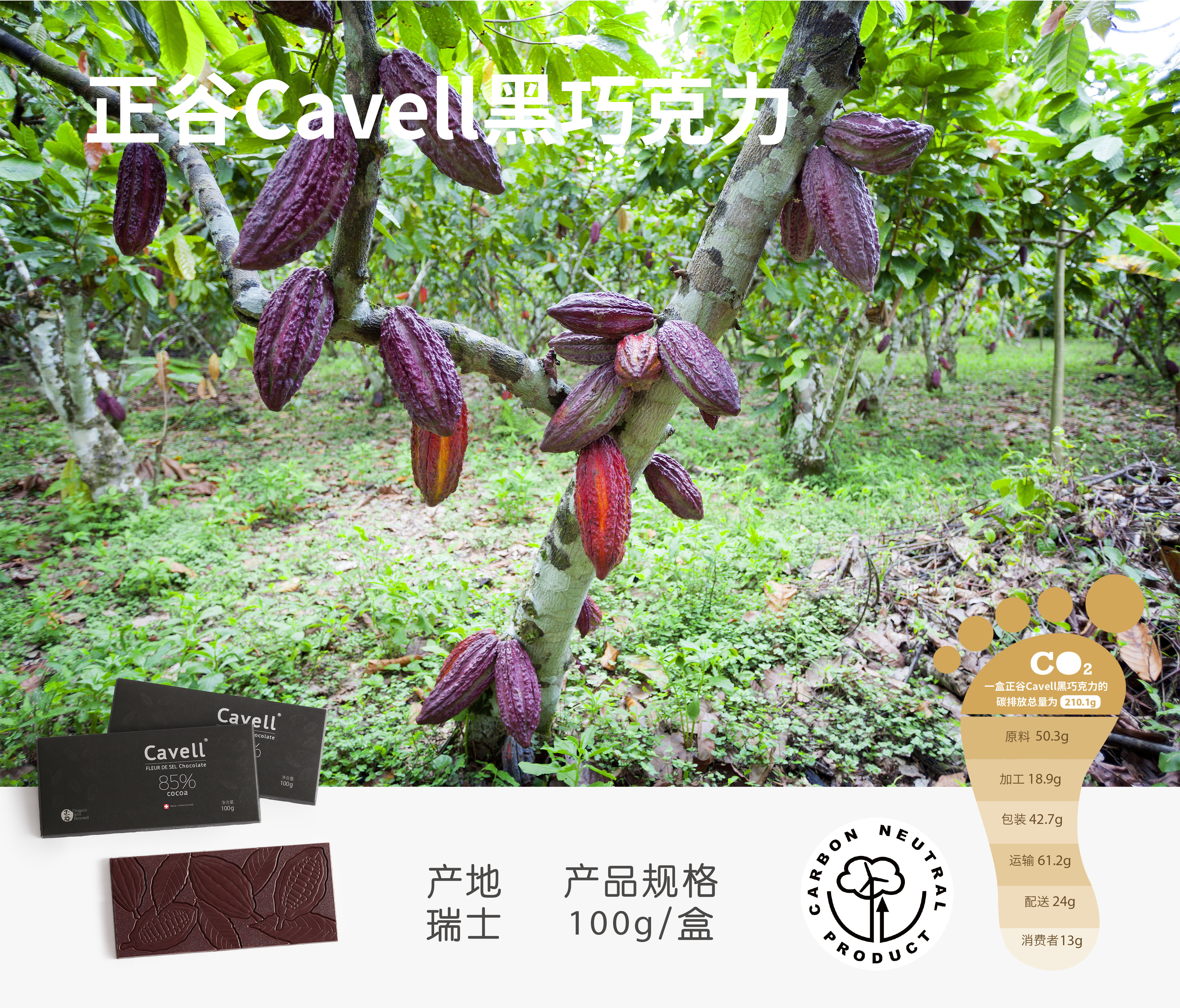 三联生活周刊前主编,三联生活周刊陈立人