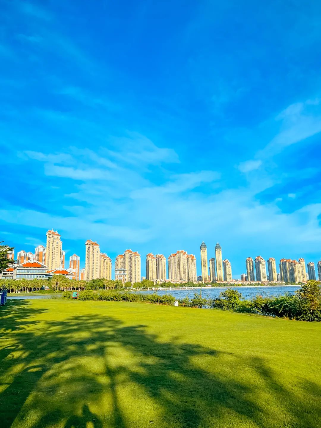 厦门油画公园,厦门油画写实风景