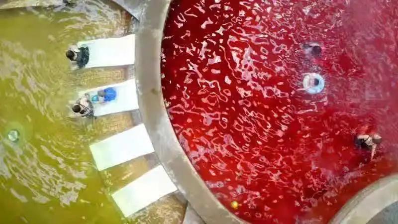 新盈泰温泉度假村娱乐设施,新盈泰温泉美食