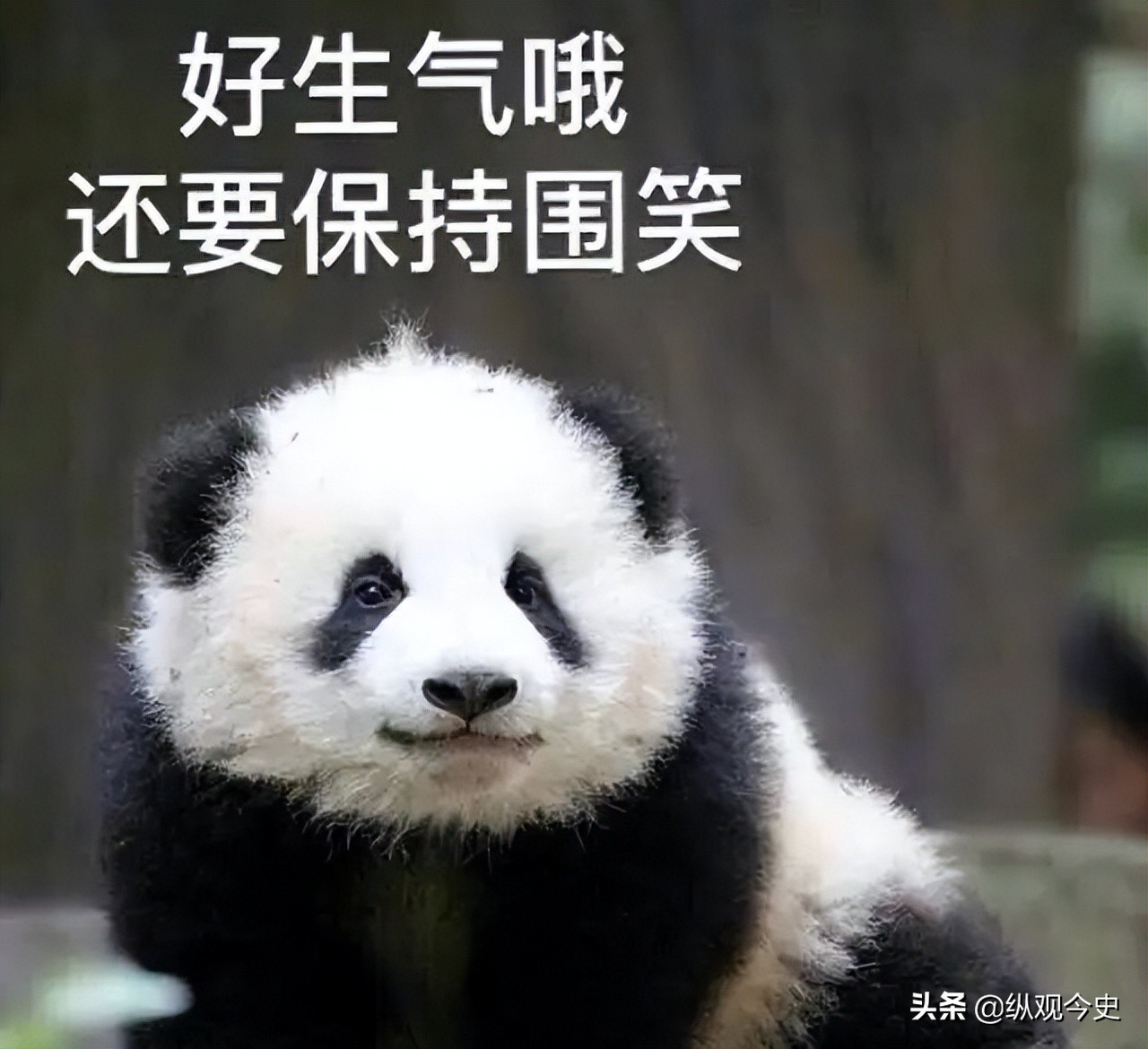 张一山回怼章子怡是哪期,张一山怒怼章子怡是第几期