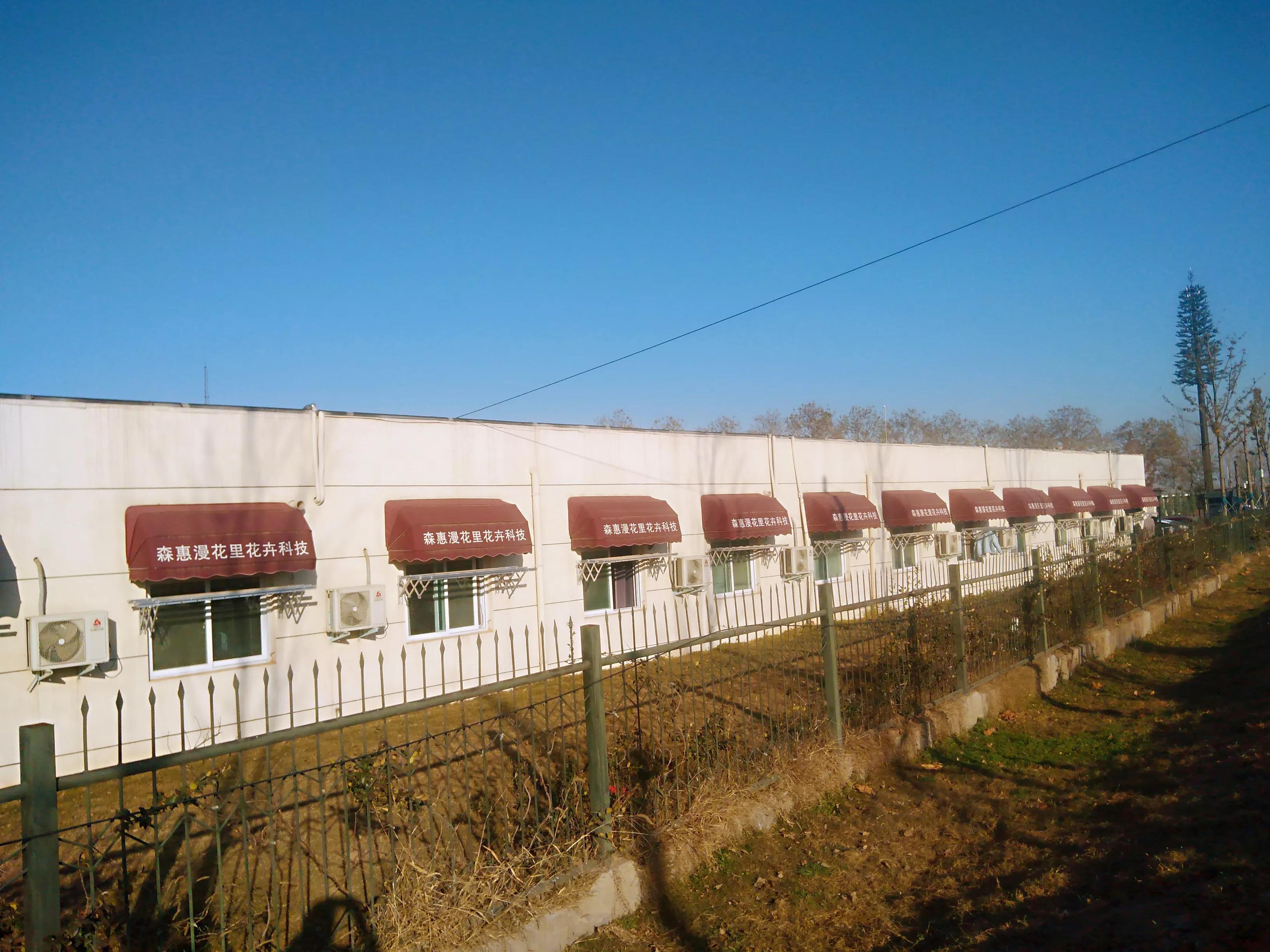 郑州惠济区的花漫里开放了吗,漫花里花卉博览园现在还开放吗