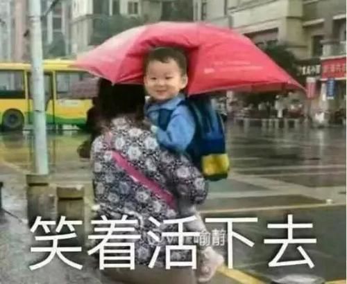 黎曼猜想论文有多少页,解决黎曼猜想在数学史是什么地位