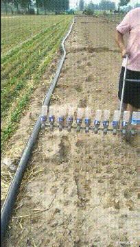 女友是太平公主,说女朋友是太平公主怎么哄