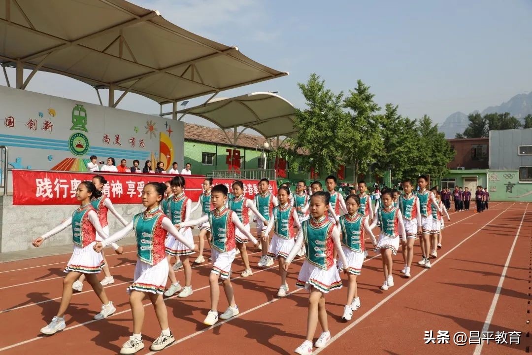 校园竞技体育的魅力,校园青春比赛