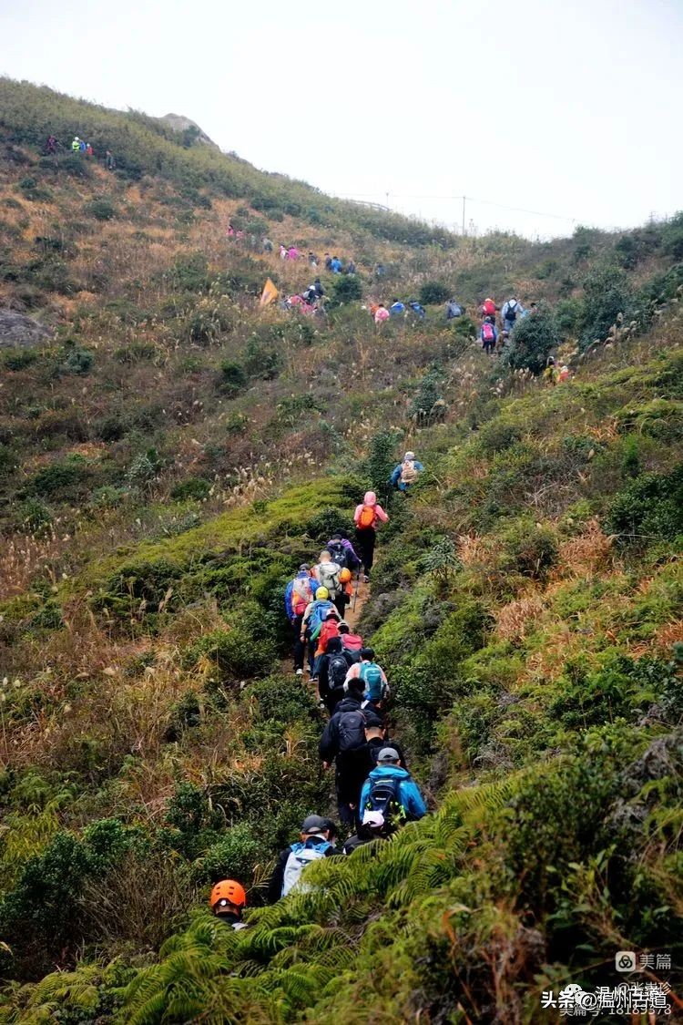温州最高峰,温州十大最高山峰