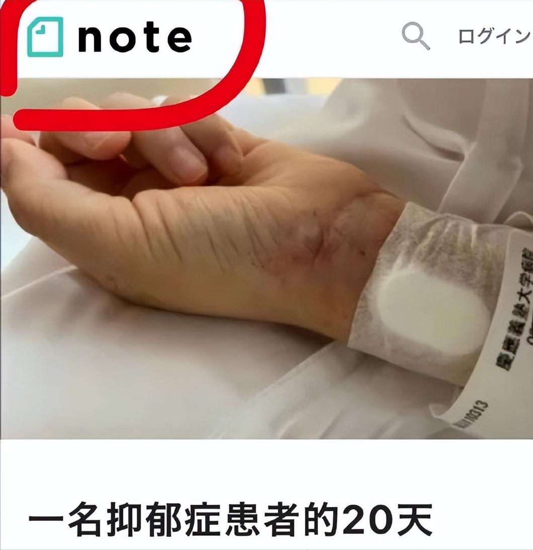 哭丧安倍抹黑同胞！美女记者发港人在日犯罪却误导攻击内地消防员